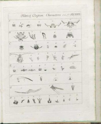 Fabricij Classium Characteres
