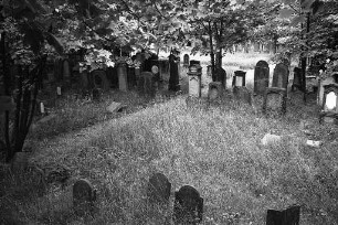 Grabschändung auf dem alten jüdischen Friedhof an der östlichen Kriegsstraße