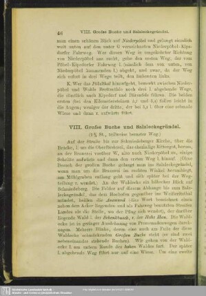 VIII. Grosse Buche und Salzleckegründel