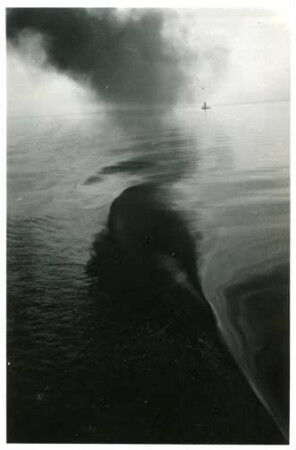 Spiegelung der Rauchwolke eines Schiffes auf Wasserfläche des Haffs, Kurische Nehrung