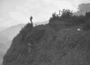 Am Berghang : Blick auf einen Berghang mit Vegetation