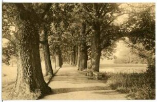 Waldenburg. Park Grünfeld