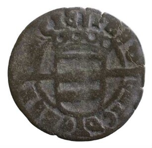 Münze, Denar, 1528