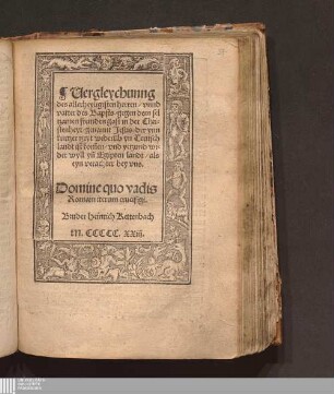 Uergleychunng des allerheyligisten herren/ vnnd vatter des Bapsts/ gegen dem seltzamen fremden gast in der Christenheyt/ genannt Jesus/ der ynn kurtzer tzeyt wideru[m]b yn Teutschlandt ist kom[m]en/ vnd yetzund wider wyll yn[n] Egipten landt/ als eyn verachter bey vns
