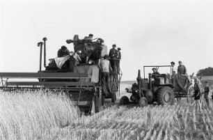 Radeberg, Ankunft von sowjetischen Mähdreschern, Einsatz der Mähdrescher auf dem Volksgut (VG) Seifersdorf, Juli 1952