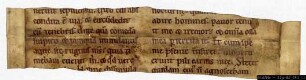 Fragment einer zweispaltig angelegten liturgischen Handschrift (Buch Hiob)