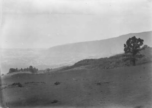 Landschaft (Sammlung Hans Meyer - Teneriffareise Hans Meyer 1894)