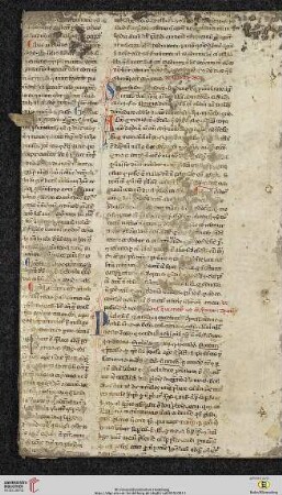 Lib. I, Tit. XXXIX: De syndico und Titulus XL: De his que vi metusve causa fiunt