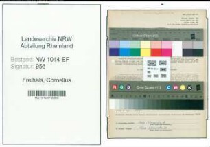 Entnazifizierung Cornelius Freihals , geb. 17.06.1906 ()