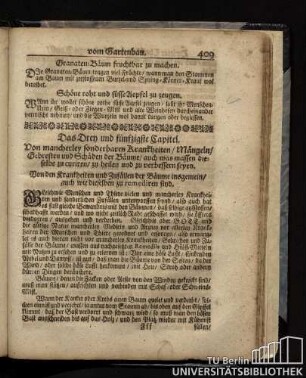 Das Drey und Fünfzigste Kapitel