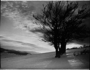 Sonnenuntergang am Schauinsland (Winter)