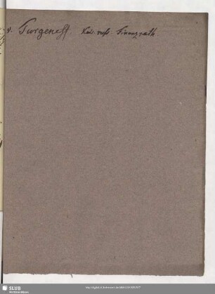 Nr. 107-119. Turgeneff