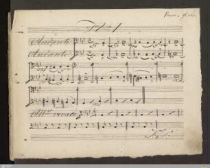 Violoncello und Kontrabass