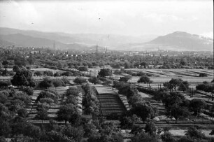 Denzlingen: Fernsicht nach Freiburg