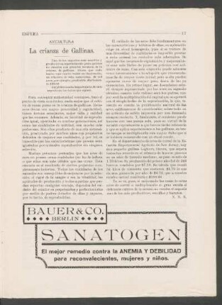 Avicultura