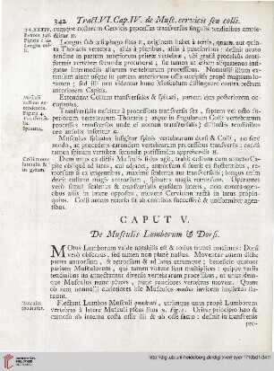 Caput V: De Musculis Lumborum et Dorsi