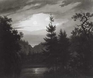 Mondlandschaft mit Fichte