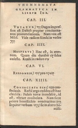 Grammatica In Librum Iob.