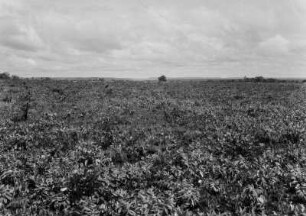 Tafelland : Blick über das Tafelland in Brasilien.