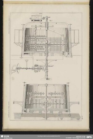 Taf. XIII. [Fig. 1]