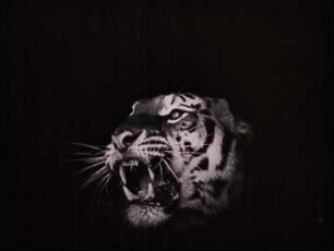 Das indische Grabmal, Teil 2 - Der Tiger von Eschnapur (1921) - Filmanfang
