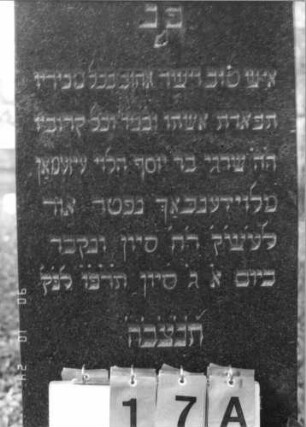 Grabstein 17 (Index: 100116101) Material: Granit, poliert Zustand: gut Maße HxBxT: 162x47x18 cm Beschreibung: aufgesockelte Stele mit giebelartigem Abschluß: Grabstein 17A
