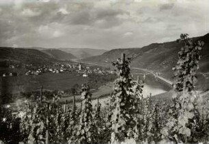Blick vom rechten Moselhang über den Fluß auf den Ort