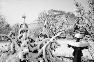 Staufen: Vom Park auf Schlossberg