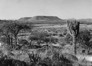 Hochland Eritreas : Felsformation im Hochland Eritreas