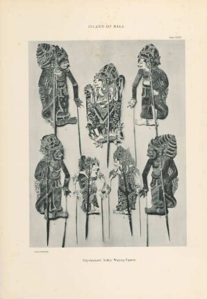 Plate XXIV. Island of Bali. Polychromatic leather Wayang figures