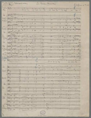 Der Einsame, B, orch, op. 51/2, TrV 206/2 - BSB Mus.ms. 11342 : [caption title:] Der Einsame (Heinrich Heine) // Richard Strauss op. 51, No. II