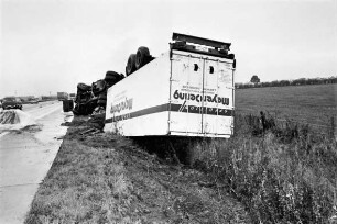 Bundesautobahn 1: bei Stapelfeld, Richtung Lübeck: Verkehrsunfall: umgestürzter Kühl-Lkw mit Anhänger in Böschung: hinten links Lkws und Pkws: rechts Weide: 21. September 1999