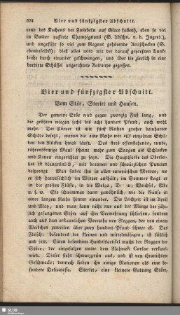 Vier und fünfzigster Abschnitt. Vom Stör, Sterlet und Hausen