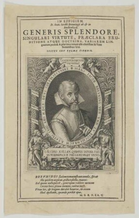 Bildnis des Hans Iacob Brevning von vnd zv Bvchenbach