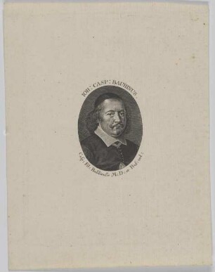Bildnis des Joh. Casp. Bauhinus