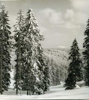 Herzogenhorn im Winter
