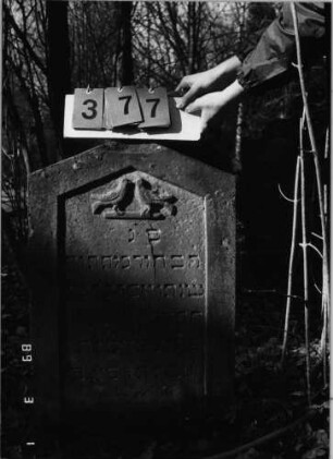 Grabstein 377 (Index: 99752608) Material: Sandstein Zustand: unten leicht abgeblätt. mit Textverlust Maße HxBxT: 86x53x12 cm Beschreibung: Stele, giebelartiger Abschluß, Schriftfeld eingetieft Symbolik: zwei Tauben auf einer Stange: Grabstein 377