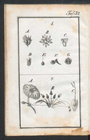 Tafel 32