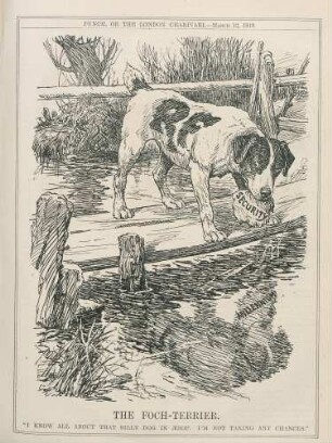 The Foch-Terrier