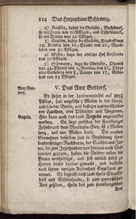 V. Das Amt Gottorf.