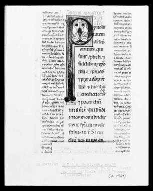 Petrus Lombardus, Commentarius in epistolas Sancti Pauli: Initiale P