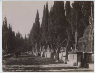 Friedhof Karacaahmet (Scutari-Friedhof), Istanbul: Ansicht eines breiten Friedhofweges