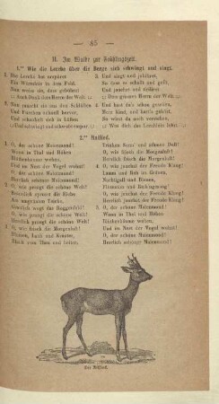 II. Im Walde zur Frühlingszeit
