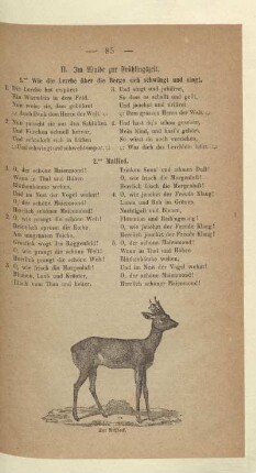 II. Im Walde zur Frühlingszeit