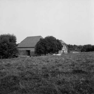 Landwirtschaft: Wiese mit Schweinen: dahinter Bauerngehöft und Bäume