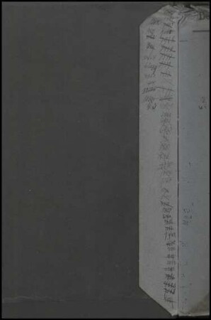 Allgemeine Vorschriften über Bestrafung der Grubenbeamten und Bergleute auf dem Disziplinarweg, Bd. V