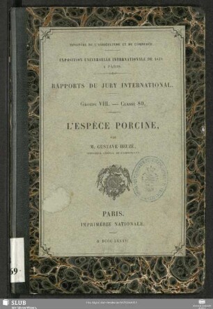 Rapport sur l'espèce porcine