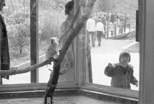 Besuch im Papageienhaus des Karlsruher Zoos