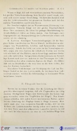 II. Fliegende Insekten