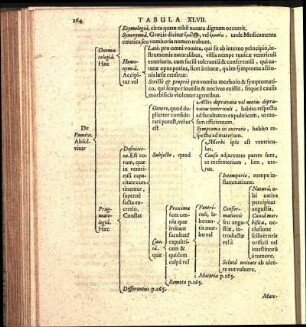 Tabula XLVII.